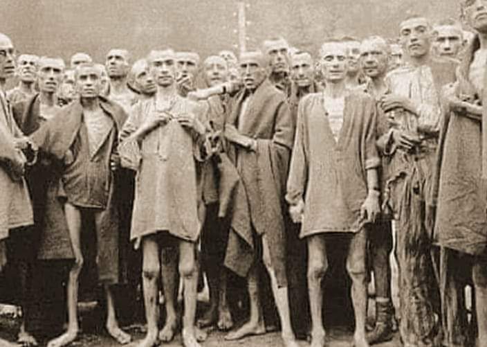 OyeSheikhayy's tweet photo. Jewish arrived in Palestine in this condition and today they are biting everyone because the leash was not put around their necks in time.
It's me again, Banned me again because I'll not stop posting these.
#IsraelTerrorists #IsraelStopPlayingVictim #FreePalaestine #GazaUnderAt https://t.co/3mWBlwvx3P