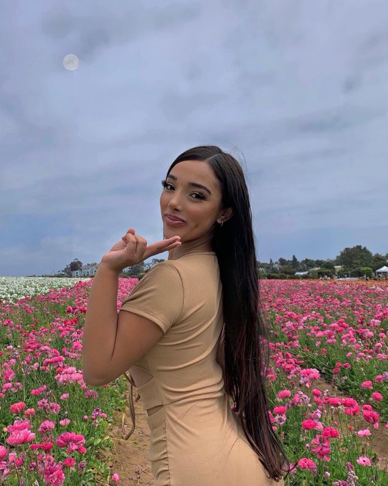Romanticizing everything makes life softer 🌸🌙✌🏼🧸 https://t.co/MJ1UfICbbh