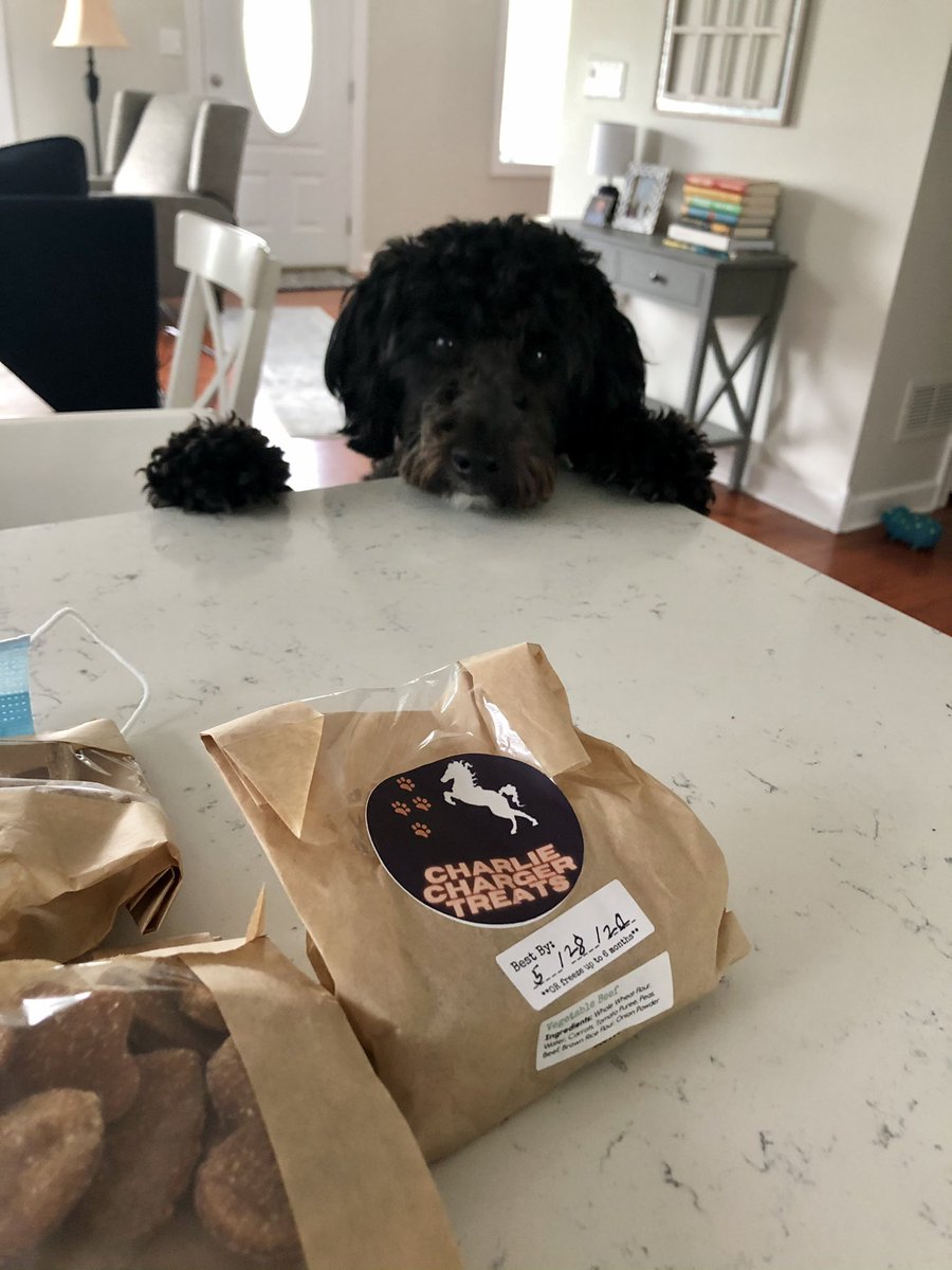 “Did someone say <a href="/ChargerTreats/">Charlie Charger Treats</a>?!”