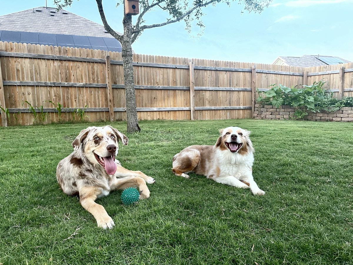 Look at these goofballs