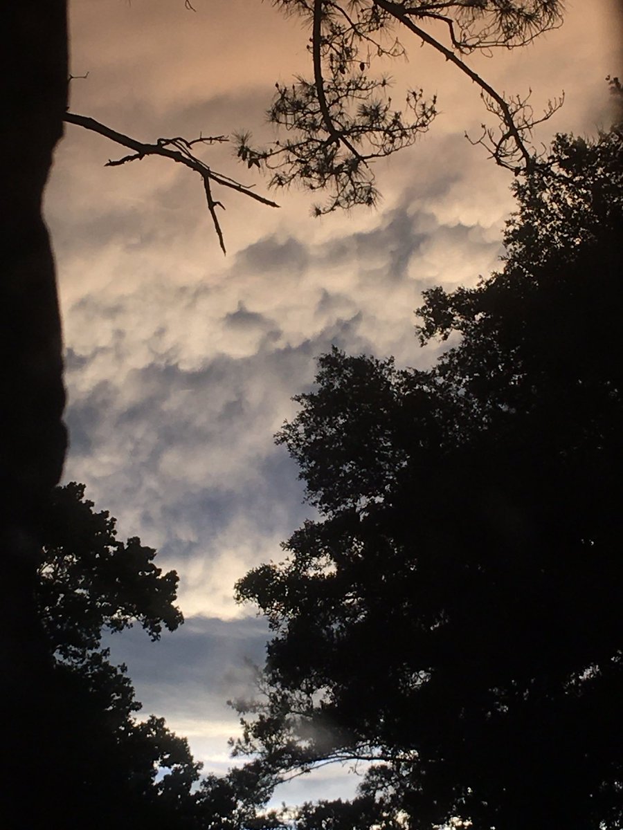#HOUwx Got a semi-decent pic of the clouds before it got too dark.