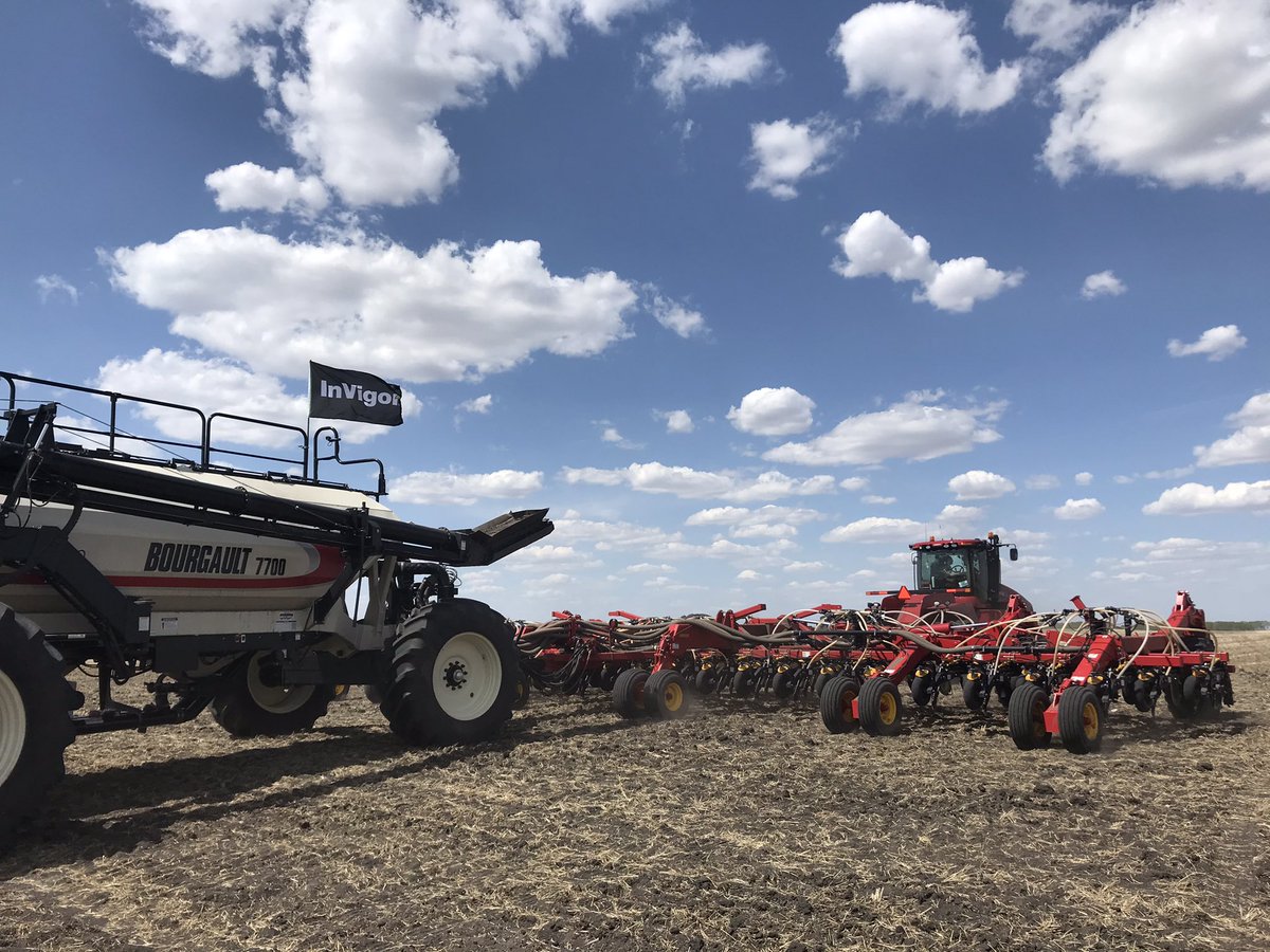 The #InVigor DST is in at Foxwarren, MB thanks to <a href="/HoferErnest/">Ernest Hofer</a> &amp; his crew, Monarch Colony! 

<a href="/BASFAgSolutions/">BASF Agricultural Solutions Canada</a> <a href="/BrandyBeischer/">Brandy Chuchmuch</a> <a href="/stinson327/">Stephanie Froese</a> <a href="/BurtwistleIan/">Ian Burtwistle</a>
