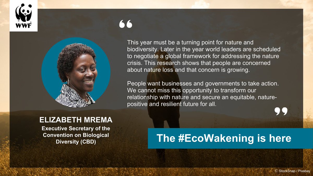 We’ve entered a new era - one where the protection of our planet is everyone’s business. 

Learn more about the unmistakable signs of the #EcoWakening in an eye-opening report by @TheEIU, commissioned by WWF: panda.org/eco-wakening 🌎

@UNBiodiversity @mremae #COP15 #ForNature