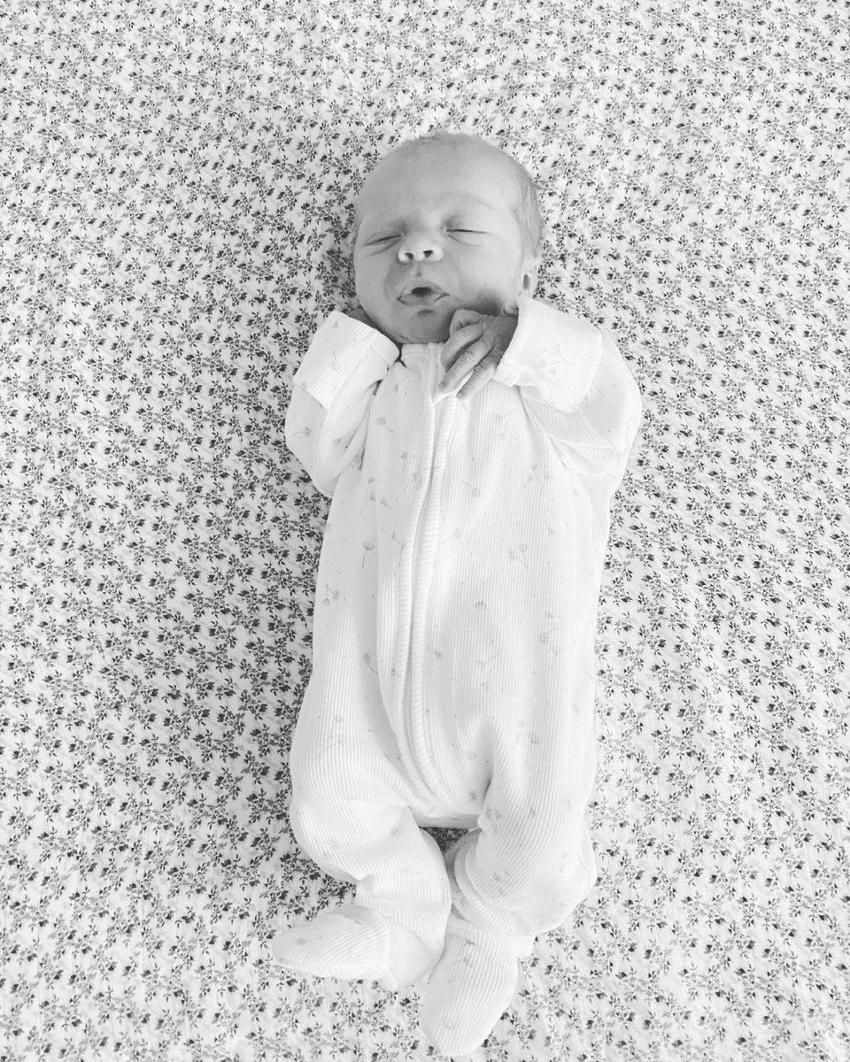 A Y L A  T R A C E Y  S I G G I N S
15.5.2021