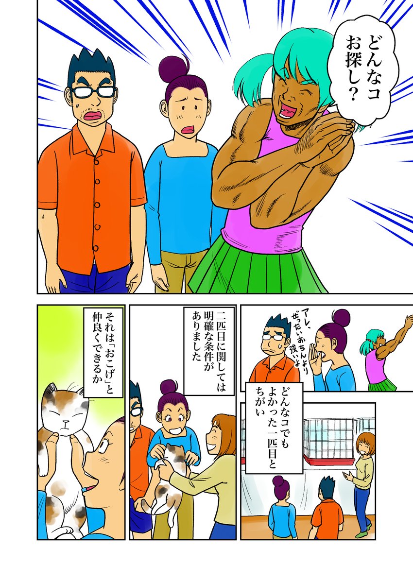 irukajima's tweet photo. おこチャイ！13話（その1）
二匹目を飼うとは思ってもみなかったです。
＃創作漫画　#漫画が読めるハッシュタグ  
#猫好きさんと繋がりたい  #猫のいる暮らし 
#絵描きさんと繋がりたい https://t.co/KBaaLNH4kV