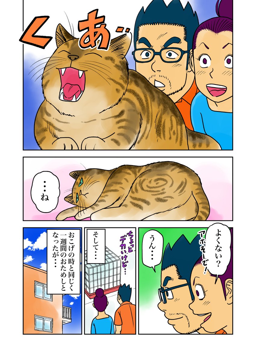 irukajima's tweet photo. おこチャイ！13話（その1）
二匹目を飼うとは思ってもみなかったです。
＃創作漫画　#漫画が読めるハッシュタグ  
#猫好きさんと繋がりたい  #猫のいる暮らし 
#絵描きさんと繋がりたい https://t.co/KBaaLNH4kV