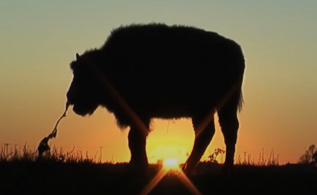 Ethan Marten tweet media