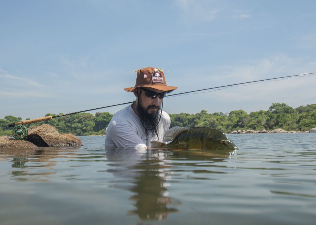 KendjamLodge's tweet photo. Warm weather wet-wading for peacock bass in the Brazilian Amazon — a dream for most fly anglers, and a dream we love making come true for our guests.

Ph: Marcos Hlace
#flyfishing #flyfish #jungleflyfishing #untamedangling #kendjamlodge https://t.co/7ne6Bg6xSp