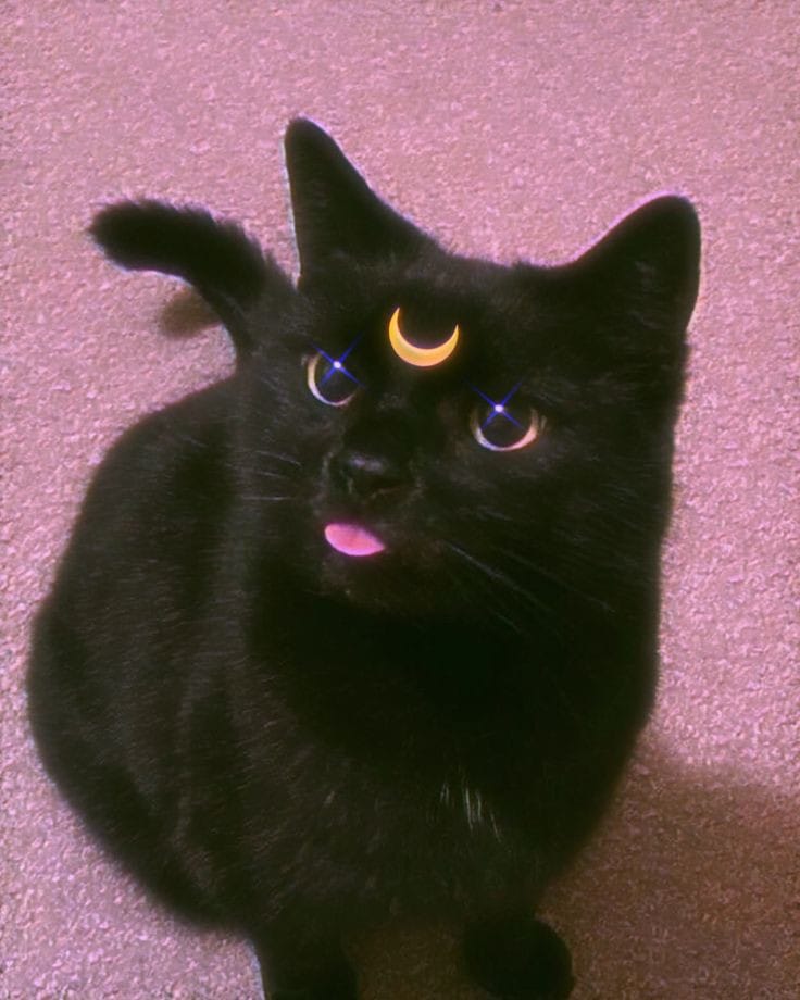 WholesomeMemes (@wholesomememe) on Twitter photo 