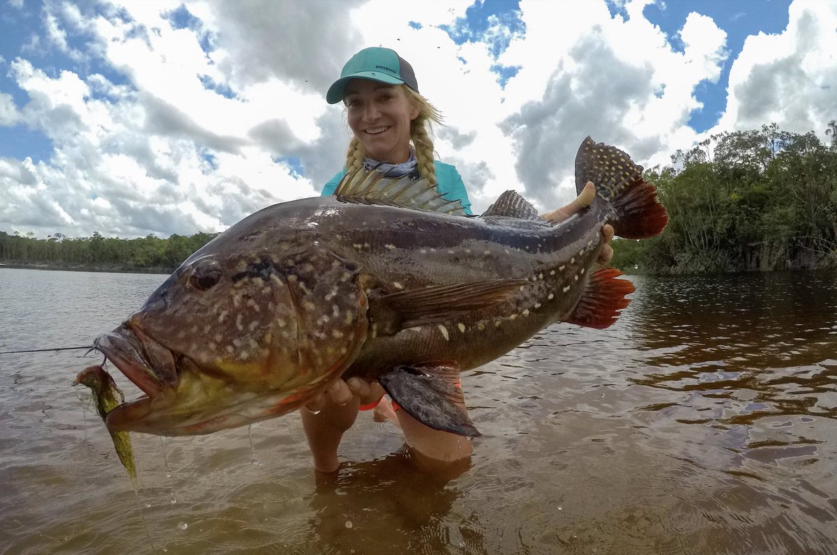 Stripping streamers for big peacock bass!
Meredith McCord with a great fish with beautiful paca stage colors and markings.

Ph: Lucas De Zan
#flyfishing #flyfish #peacockbassonfly #peacockbass #untamedangling #riomarié #jungleflyfishing