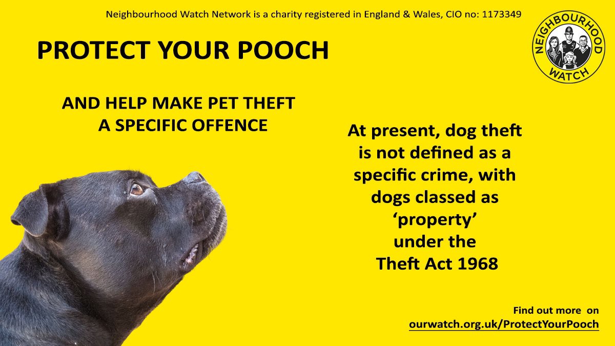 🔴 DOG THEFT 18.05.21 - Did you know dog theft is not defined as a specific crime, with dogs classed as ‘property’ under the Theft Act 1968. Help make dog theft a specific criminal offence by SIGNING THIS PETITION closing on 20th May.  #protectyourpooch 

petition.parliament.uk/petitions/5602…