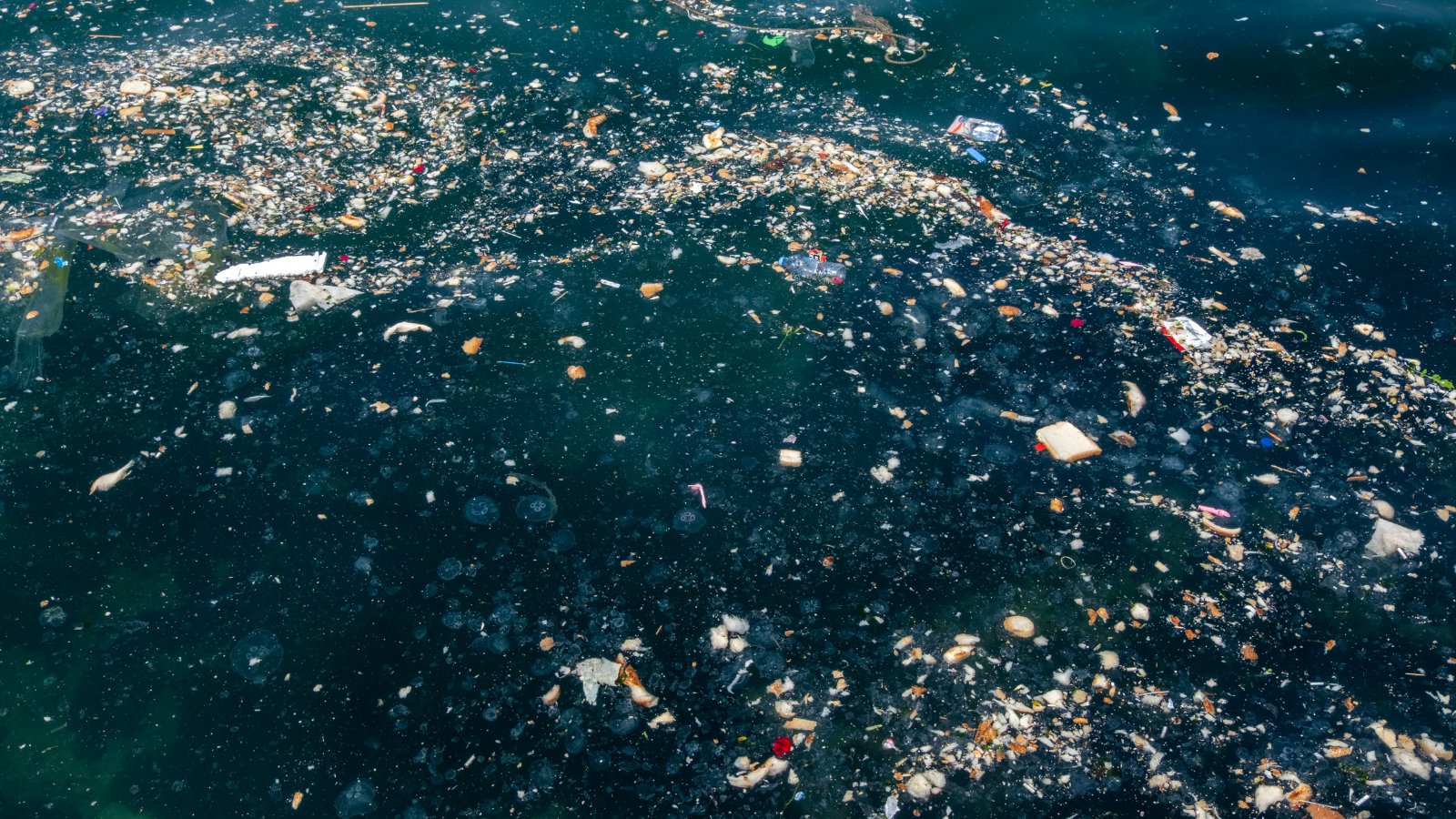 バイオポリ上越 地球環境を守るテクノロジー 世界の海には合計1億5000万トン以上のプラスチックゴミが存在 美しい海がごみであふれようとしています まずは簡単なことから ごみを減らす努力 をする その小さな行動が地球の未来を救います