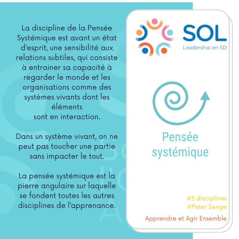 SOL France tweet media