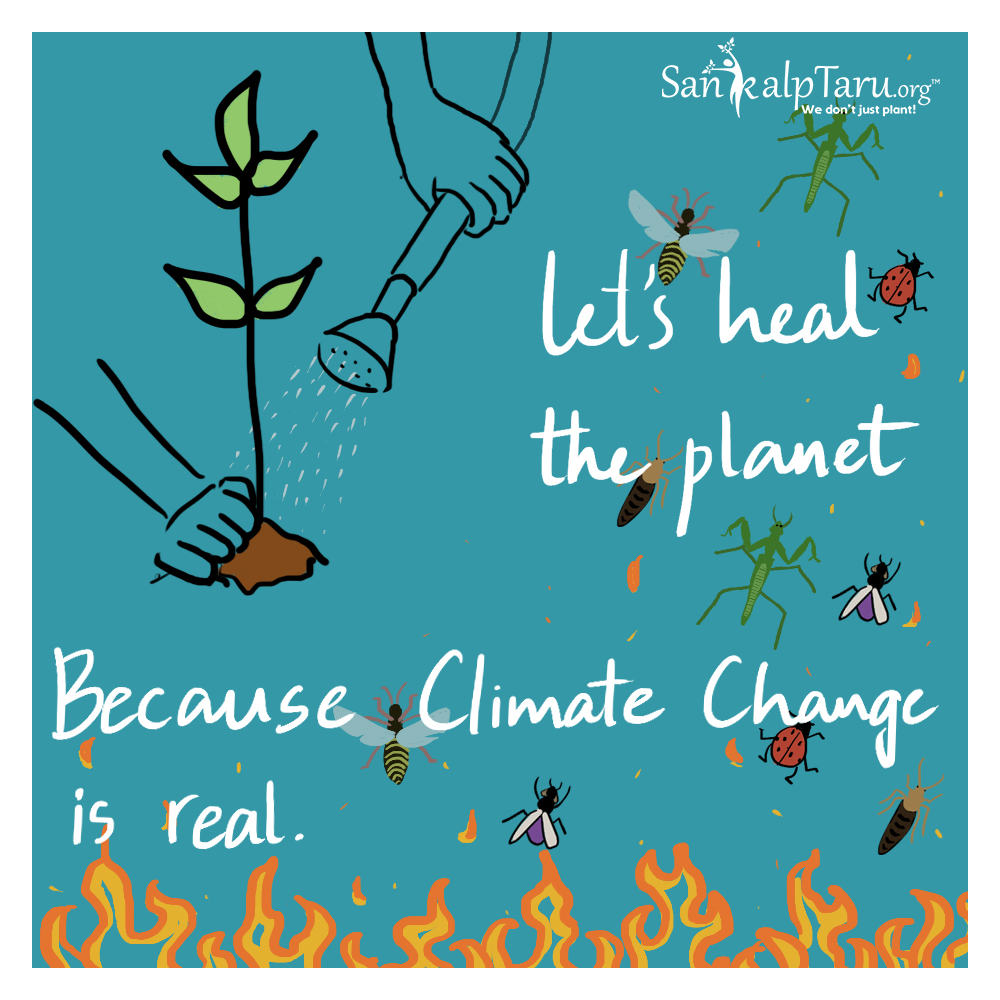 Sankalp_Taru's tweet photo. Climate change is devastating & irreversible #TauktaeCyclone #Mizoramforestfires #Assamearthquake.
Paint earth green & leave your footprint.
Plant a tree at https://t.co/OioD1fsVYY
#Reverseglobalwarming #Harmonywithnature #positiveaction #planthope🌳 https://t.co/brjBjzyFed