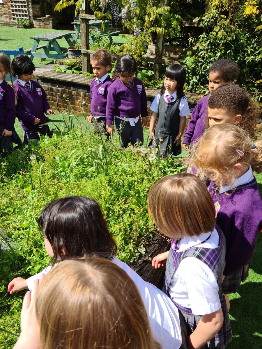 HPA_Philip_Lane's tweet image. They then went to their gardening area to do some weeding and wildlife spotting, after the rain. They found plenty of minibeasts, no doubt they&apos;ll be friends with the butterflies Reception release next week! 🦋🦋 #HPAPLReception #EYFS #GreenFingers @HarrisFed