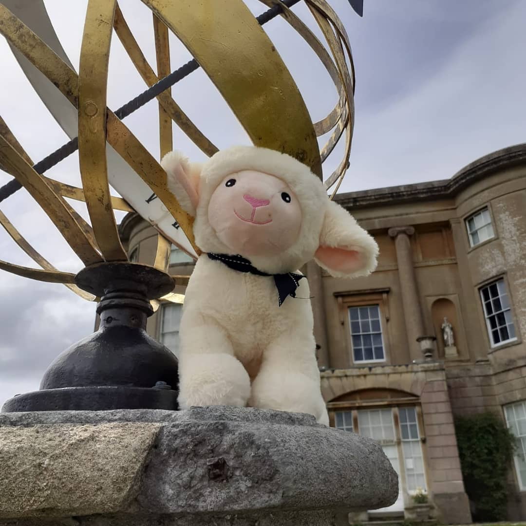BathCurious's tweet photo. The Lamb Chooses! #bathcuriousstrolls #bathhistory #americanmuseumandgardens #mistressmoffette #thelamb #astronomy #science #tuesday https://t.co/nC7hE1E566