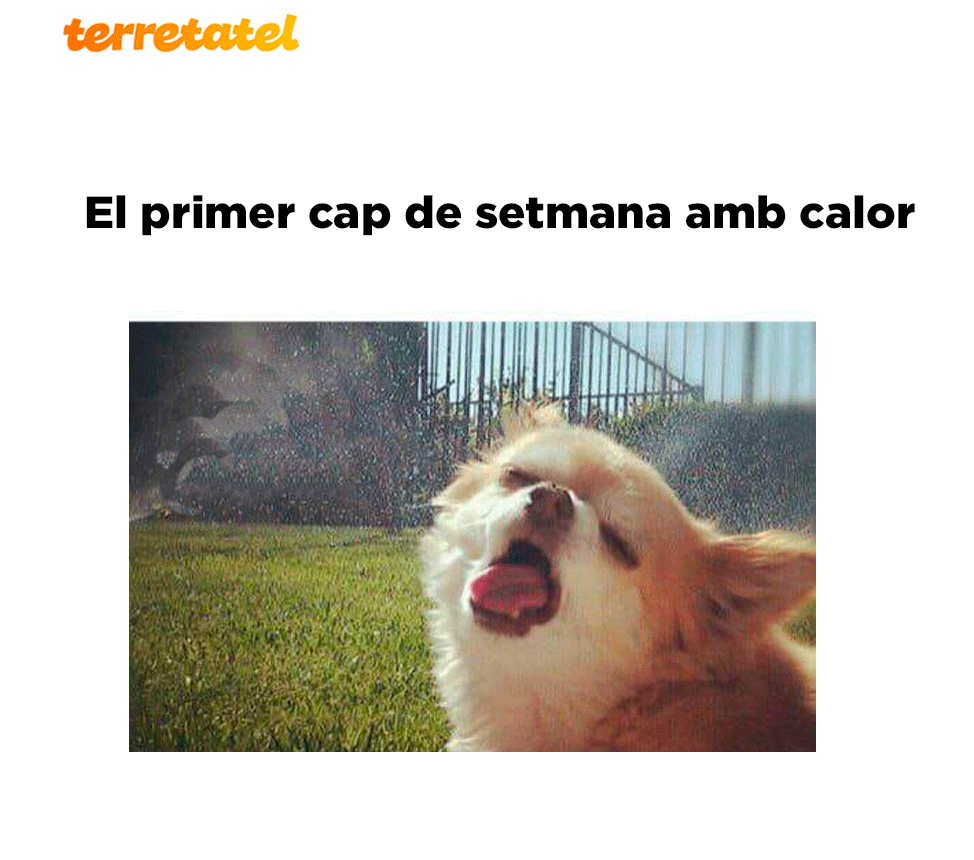 Jo ja m'he queixat🥴🥵