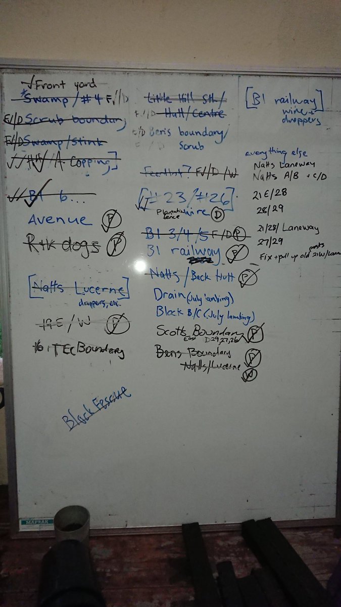 Slowly getting there with our fencing rebuild. Contractors back again this week for the final lot of posts and wires.