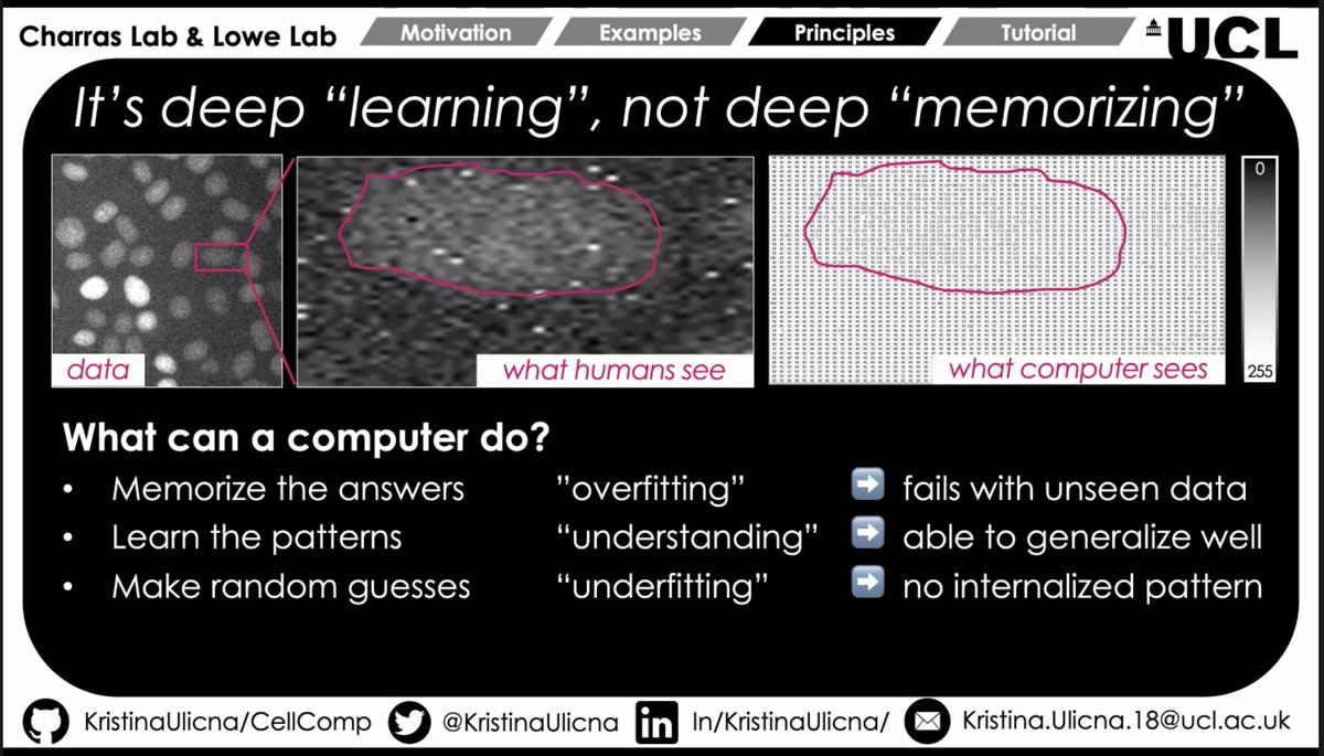 camachodejay's tweet image. We started our second day with a very interactive discussion session. Now @KristinaUlicna has taken the lead and is guiding our attendees over an introduction to #MachineLearning and its applications to #bioImageAnalysis