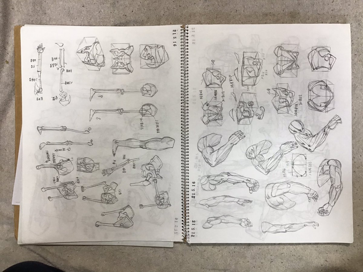 #キムラッキ さん模写学習。全ページ模写を目指してやってます。
現在、2ヶ月と数日で、169ページまで完了。
大体400ページあるのでまだまだ先は長いですが、やっててとても楽しいし、実際に人体への理解が大きく進んだと思います。
可能な限り毎日やってるので、これからはやったらUPしようかと。