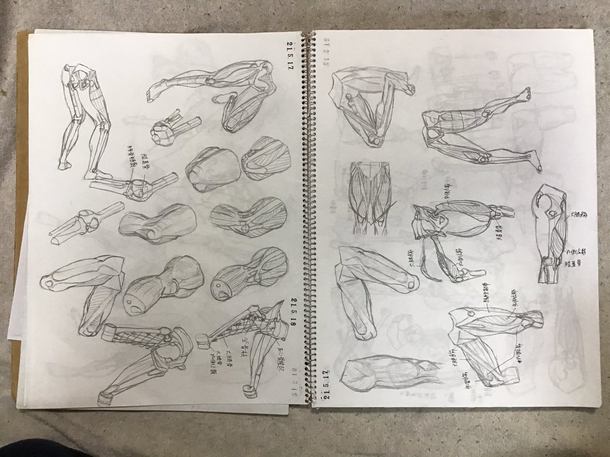 #キムラッキ さん模写学習。全ページ模写を目指してやってます。
現在、2ヶ月と数日で、169ページまで完了。
大体400ページあるのでまだまだ先は長いですが、やっててとても楽しいし、実際に人体への理解が大きく進んだと思います。
可能な限り毎日やってるので、これからはやったらUPしようかと。