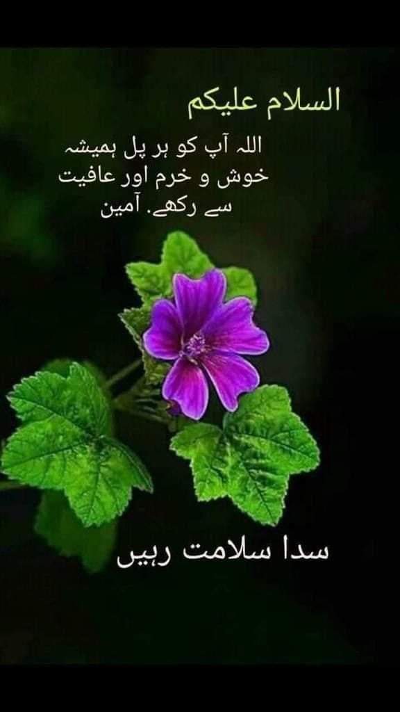 صبح بخیر
#مارخورز
FB List 1 
💯
@ch_295
@RajaGtk2
@Hfatima25
🌷
@tarar_2 
@4MMA3 
@my_duas
@c4end
@5ra512 
@3bbMk 
@MI_RYK
@Shzad01
@MHanifRa
@zafarHa1
@pk5125 
@ur_anmol
@ch_164
@twtSMH
@RGN1953
@Umarsamart
@ImamKHP
@ur_anmol
@SHARMAA_G
@HamdanA_3
@izza106
@waqar__7 
@wesii8373