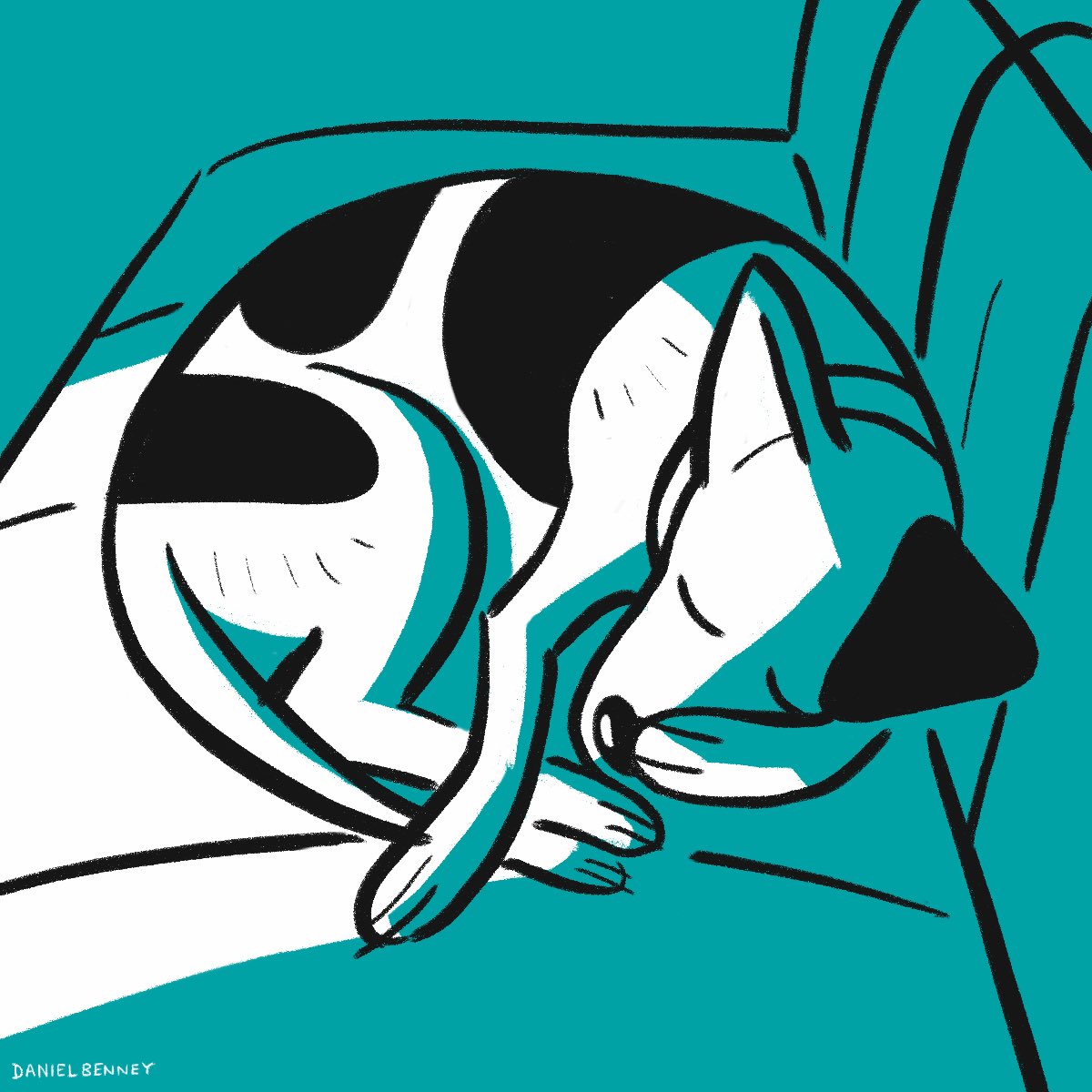 benney_daniel's tweet photo. And relax. Monday done. #dottydog #Newweek #andrelax #cornwall https://t.co/zbaJ5aGPg2