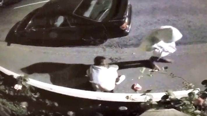 Timaru Herald tweet media