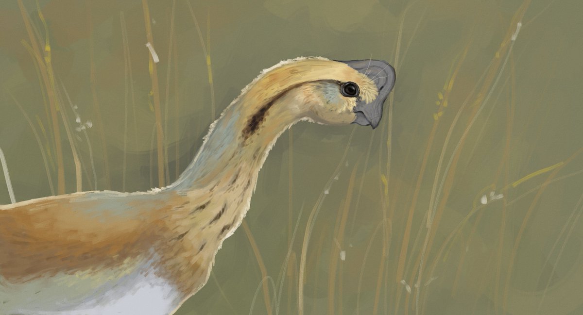 amberghini on Twitter "bunch o patis'…