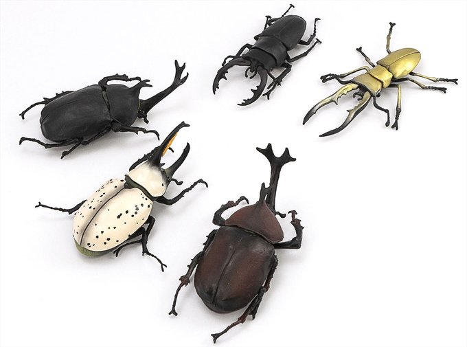 メタリフェルホソアカクワガタのtwitterイラスト検索結果