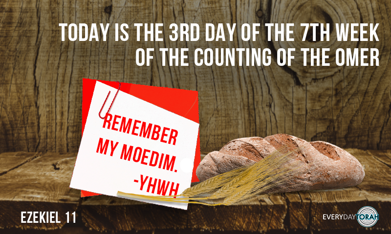 EverydayTorah's tweet photo. Today is the 3rd day of the 7th week of the counting of the Omer.

Remember my moedim. -YHWH
.
.
.
.
#EverydayTorah #3rdDay #Omer #Counting #Ezekiel #YHWH #Moedim #tk https://t.co/dqlVXaIild
