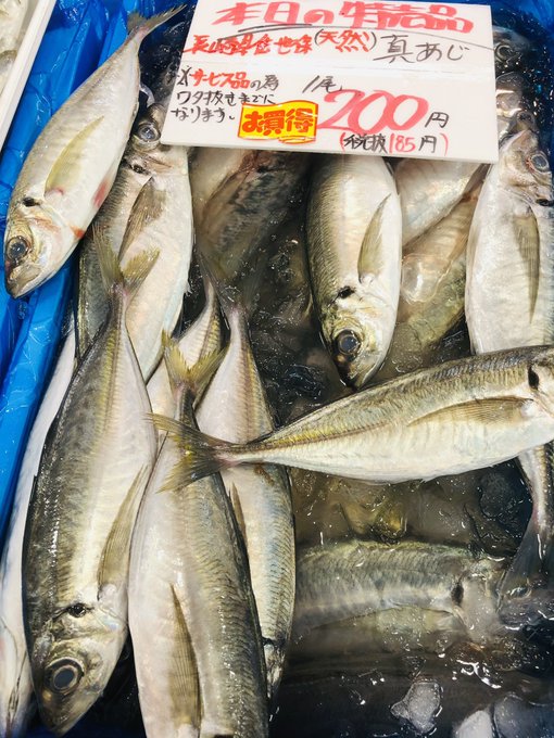 青魚のtwitterイラスト検索結果
