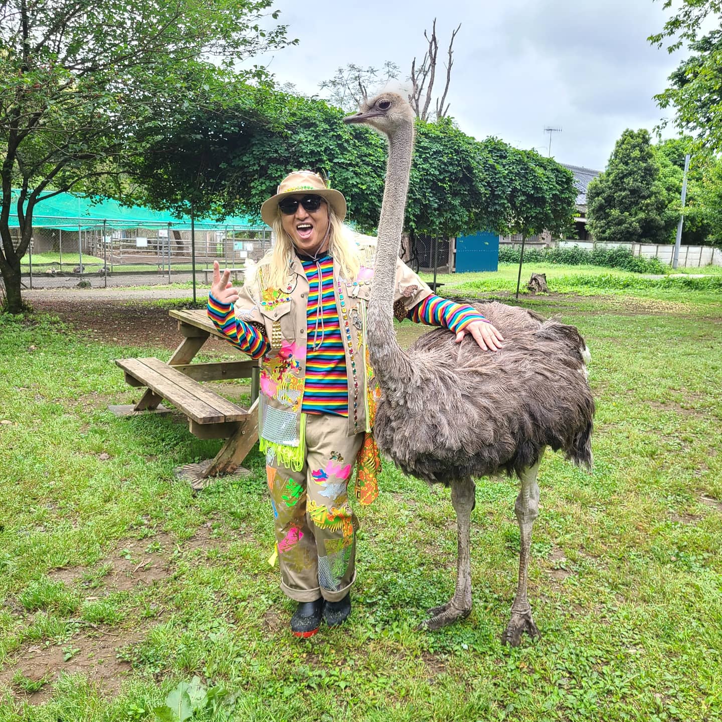 ダチョウ王国 石岡ファーム 公式 Djkoo Official 本日はご来園誠にありがとうございました ぜひプライベートでも遊びに来て下さいne Twitter