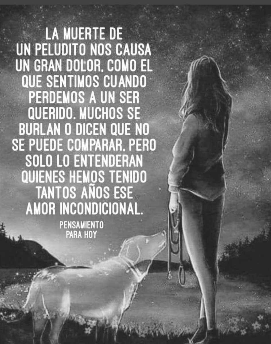 yasminchicas_08's tweet photo. Sigue descansando #MiPolo se q estás en un lugar donde estás tranquilito sin dolor y con tus ojitos sanos! Sigue feliz en ese paraiso ❤🐶 https://t.co/KLQ3MZqftp