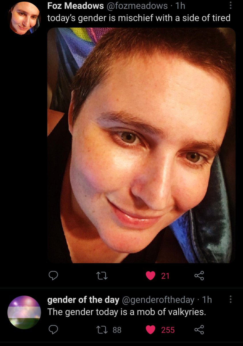 Screenshot of Twitter timeline. Upper post by Foz Meadows: "today's gender is mischief with a side of tired". Lower post by gender of the day: "The gender today is a mob of valkyries."