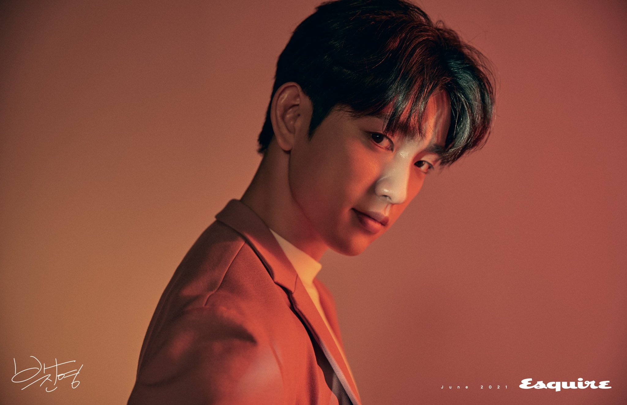 브이마크 이미지