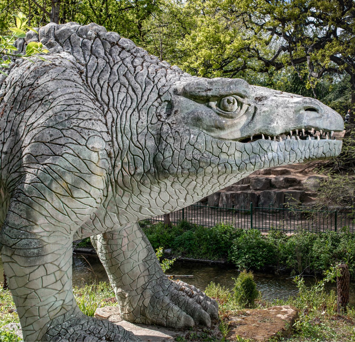 cpdinosaurs's tweet image. Thanks to the Culture Recovery Fund from @HistoricEngland, support from @LBofBromley and the outstanding generosity of our supporters, the Megalosaur has its grin back!

cpdinosaurs.org/blog/post/mega…

📸Historic England

#HereForCulture