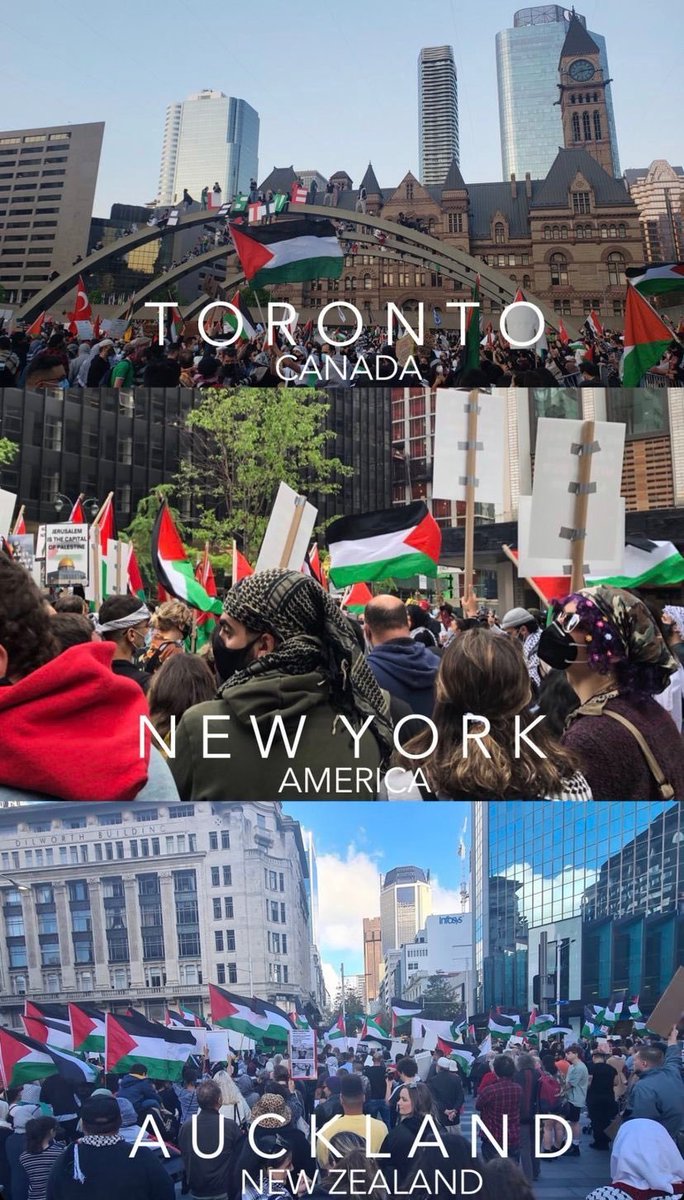 roqayhmohammd's tweet photo. Le monde est solidaire de la Palestine et de Gaza # Gaza,🇵🇸 Palestine #GazaUnderAttack #isrealterrorist 
#GazaUnderAttak #GazaUnderAttackk #FreePalaestine #Soutenez_la_Palestine #IsraelStopPlayingVictim https://t.co/uorMIcxWAv
