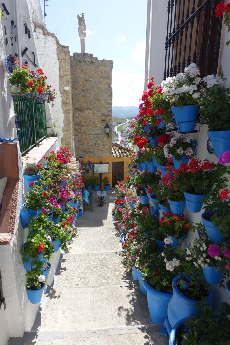 Visita los rincones participantes en el VI Concurso de Patios, Rincones y Rejas de la #provinciadeCórdoba y descubre los #RinconesTípicos premiados. bit.ly/3fucJYm

♥️#Córdoba_mágica