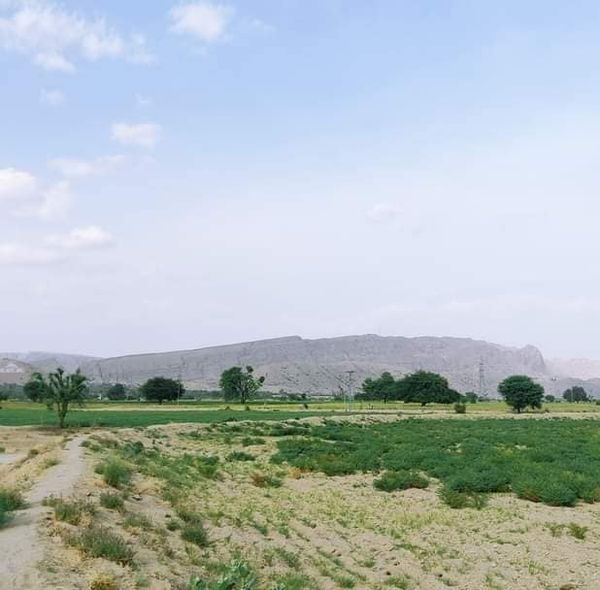 FayazHusayn's tweet photo. Beautiful view of Balochistan
#Balochistan #photography #nature #DestinationPakistan
#Pakistan #WeLovePakistan #Pakistancer #proudPakistani #BeautifulPakistan #tourism #mountains #beauty
#asian #world #trending #awesome #PakistanZindabad
https://t.co/ZmGU7qRsct