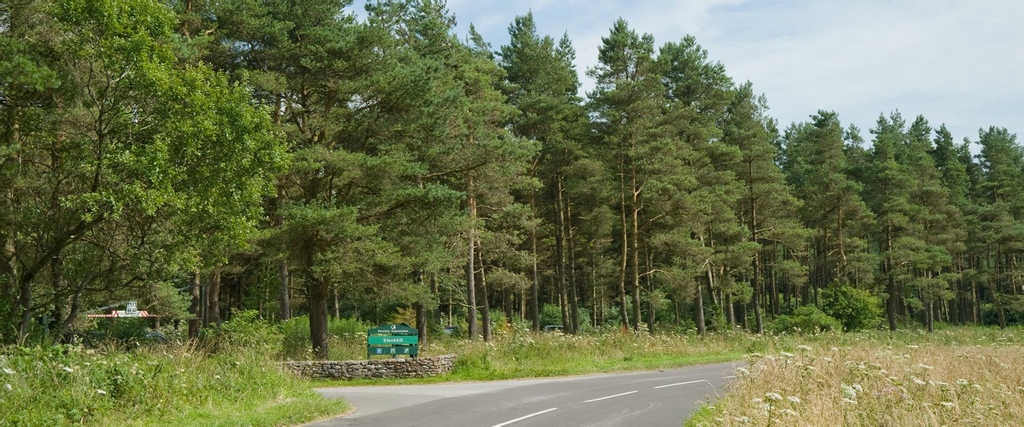 TheMendipsRock's tweet photo. Looking for somewhere new to explore? 

Why not visit the beautiful Stockhill Woods located in the Mendip Hills area of Natural Beauty. They have a car park on site with plenty of picnic benches and you can even bring your dog. 🐶

To find out more visit our website.

#explore https://t.co/DCIFtQnMIp
