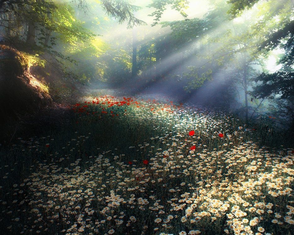 My To Do list for today;
Count my blessings 
Practice kindness 
Let go of what I can’t control 
Listen to my heart ❤️

Pic Alex Matev