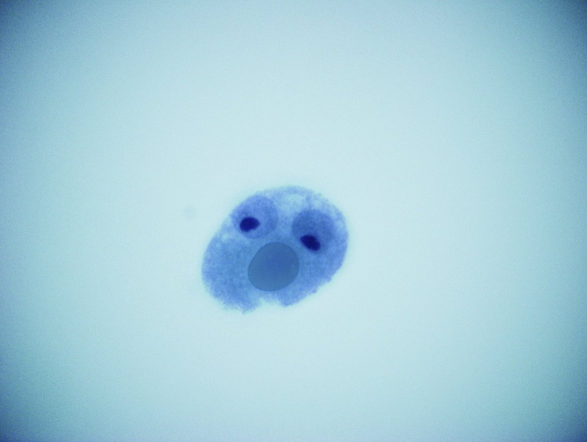 @SocietyKorean Olaf is also waiting for IAC 2021!