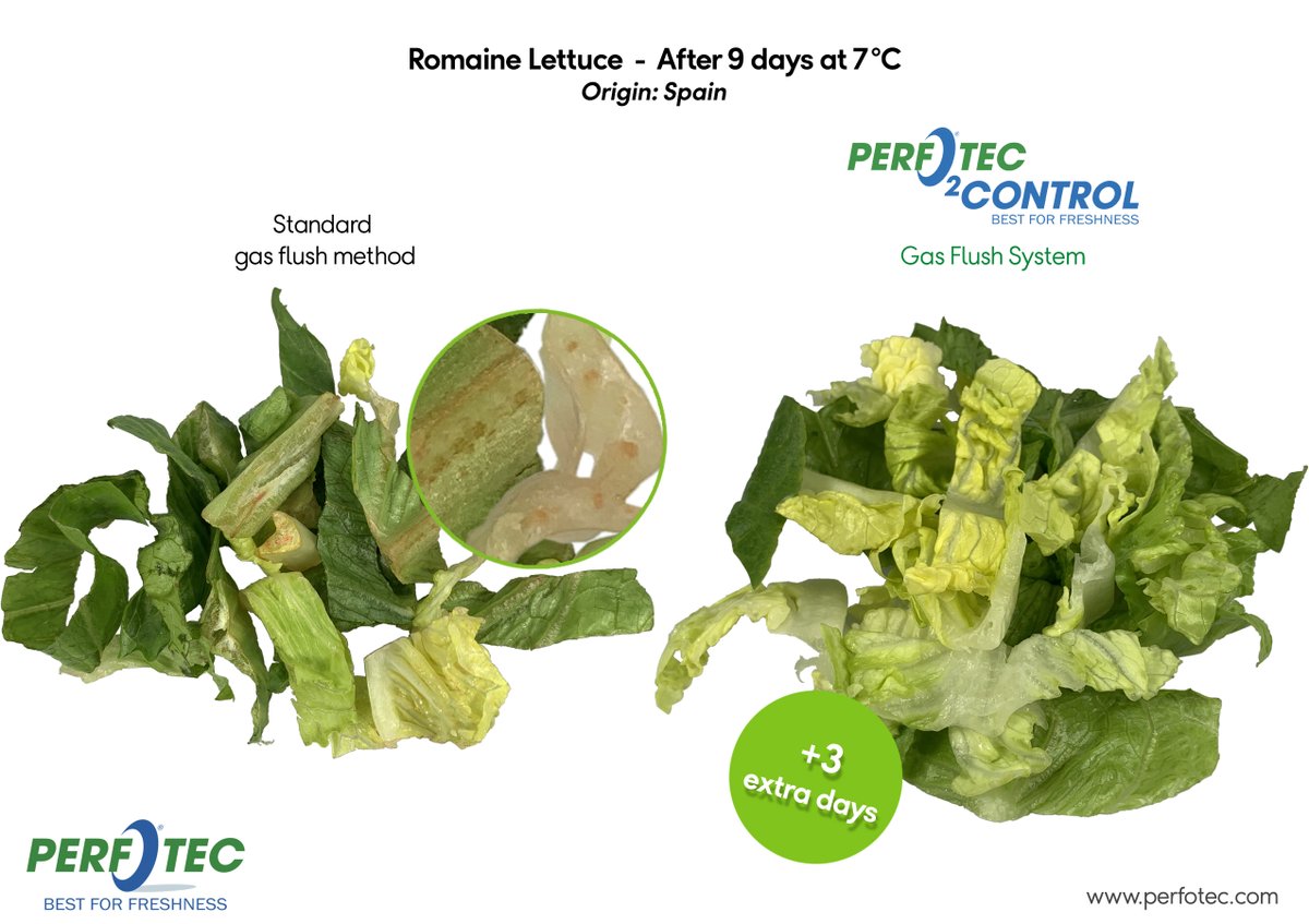 The test on Romaine #Lettuce, where we achieved 3 days extra shelf life by using our O2Control Gas Flush System, compared to the standard gas flush method.

#sustainable #innovation #foodwaste #carbonfootprint #Packaging