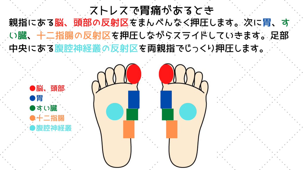 胃 胃
