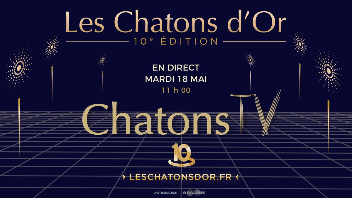 Chatonsdor's tweet photo. Rendez-vous à 11h pour la 4ème émission des #ChatonsTV ! 📺
Avec @PascalCubb, @Paloma_BSaliegenotrenotre ambassadrice #chatonsdor en Belgique et l'ancien gagnant de notre prix @NoamCartozo ! https://t.co/Q60iSQk4Di