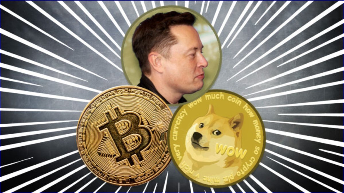 cryptocomputing's tweet image. when elon musk launches his coin, what will it be?