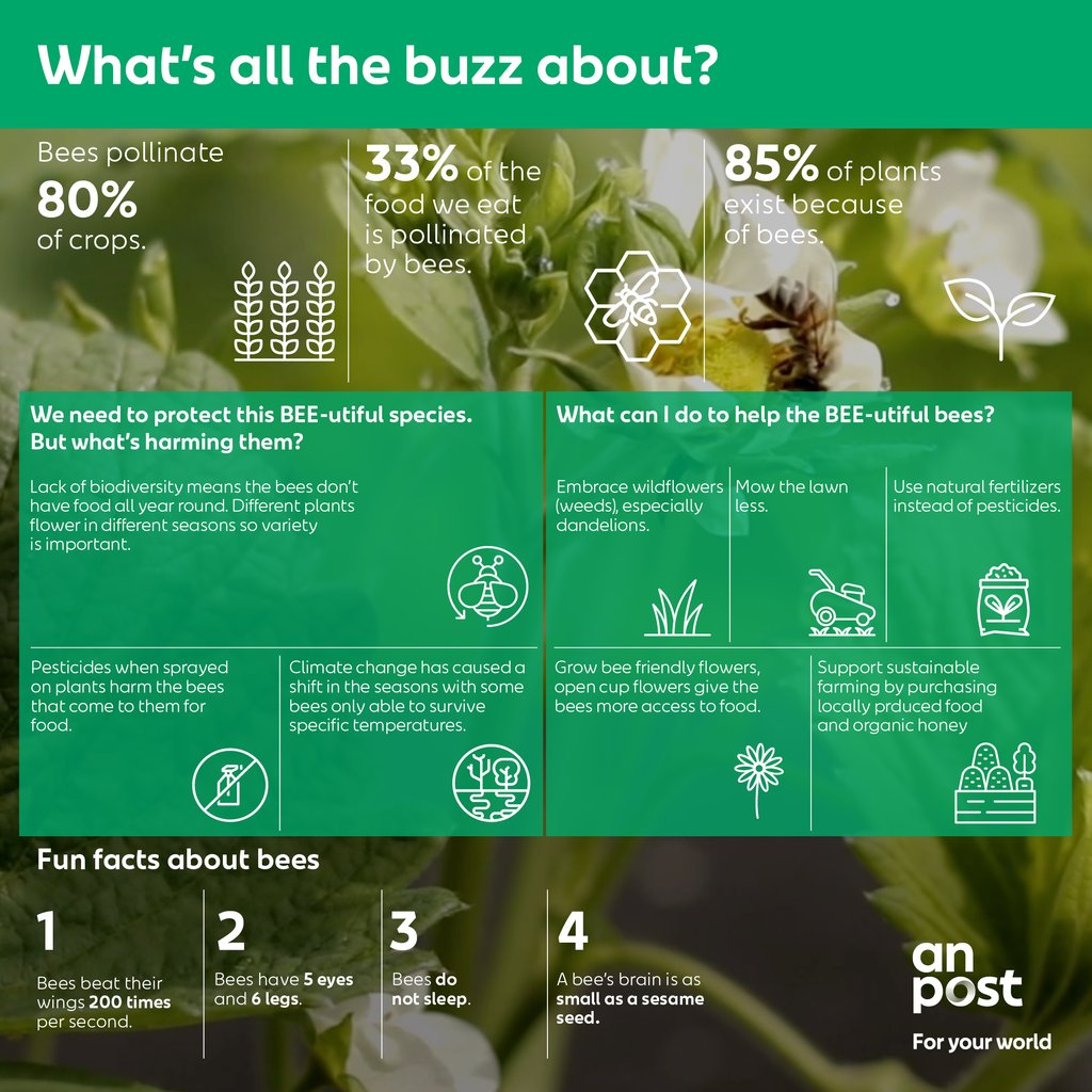 Postvox's tweet photo. It's World Bee Day this Thursday and we are BUZZIN. But what's all the fuss about? Here's a little backstory on the importance of these BEE-utiful creatures 🐝 More info >> https://t.co/1UmOVcq41F #WorldBeeDay https://t.co/Bn3b4VdVkk