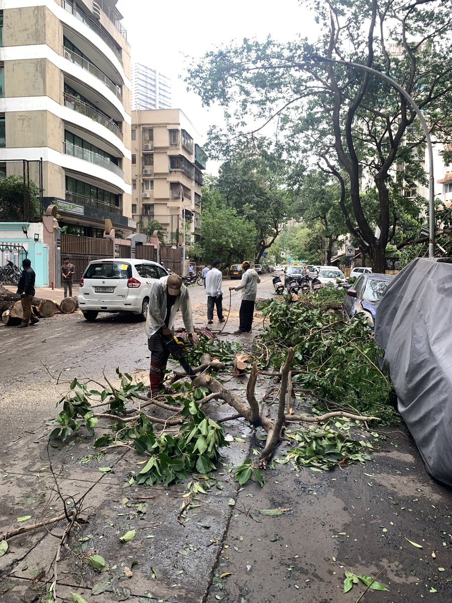 ACI_Mumbai's tweet photo. Appreciate It 🙏🏻 @mybmcWardE, One Of The Most Active MCGM Wards In Clearing The Uprooted Trees &amp; Clearing The Garbage Accumulated Due To Floods.

♥️ Thank You To The Entire Team Of #EWard For Attending Each And Every Complaint Registered By The Citizens 

#FrontLineWorkers https://t.co/khdWRkzEcO