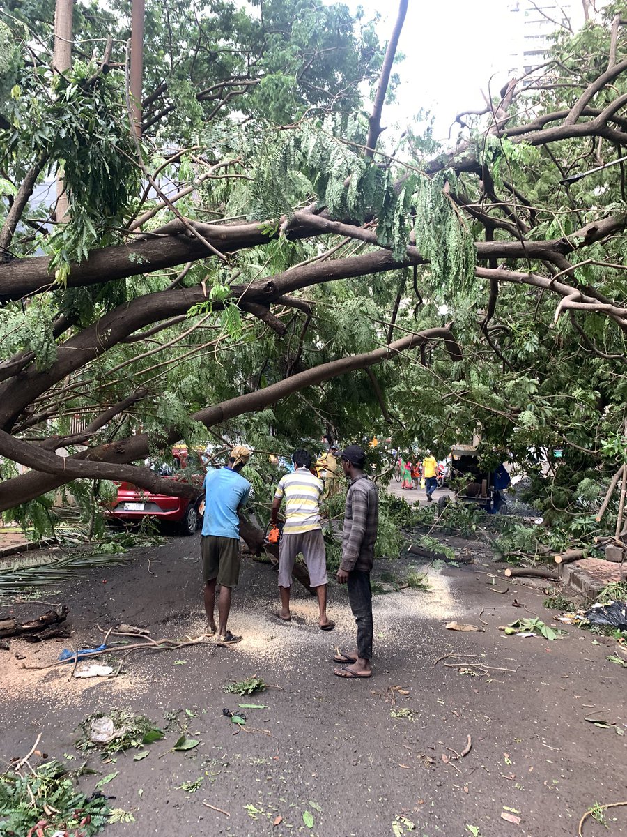 ACI_Mumbai's tweet photo. Appreciate It 🙏🏻 @mybmcWardE, One Of The Most Active MCGM Wards In Clearing The Uprooted Trees &amp; Clearing The Garbage Accumulated Due To Floods.

♥️ Thank You To The Entire Team Of #EWard For Attending Each And Every Complaint Registered By The Citizens 

#FrontLineWorkers https://t.co/khdWRkzEcO